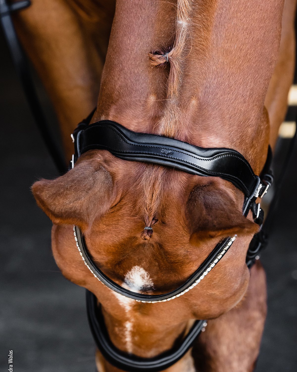 Schockemohle Bridle Equitus Beta black patent/silver