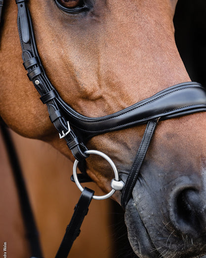 Schockemohle Bridle Equitus Beta black/silver