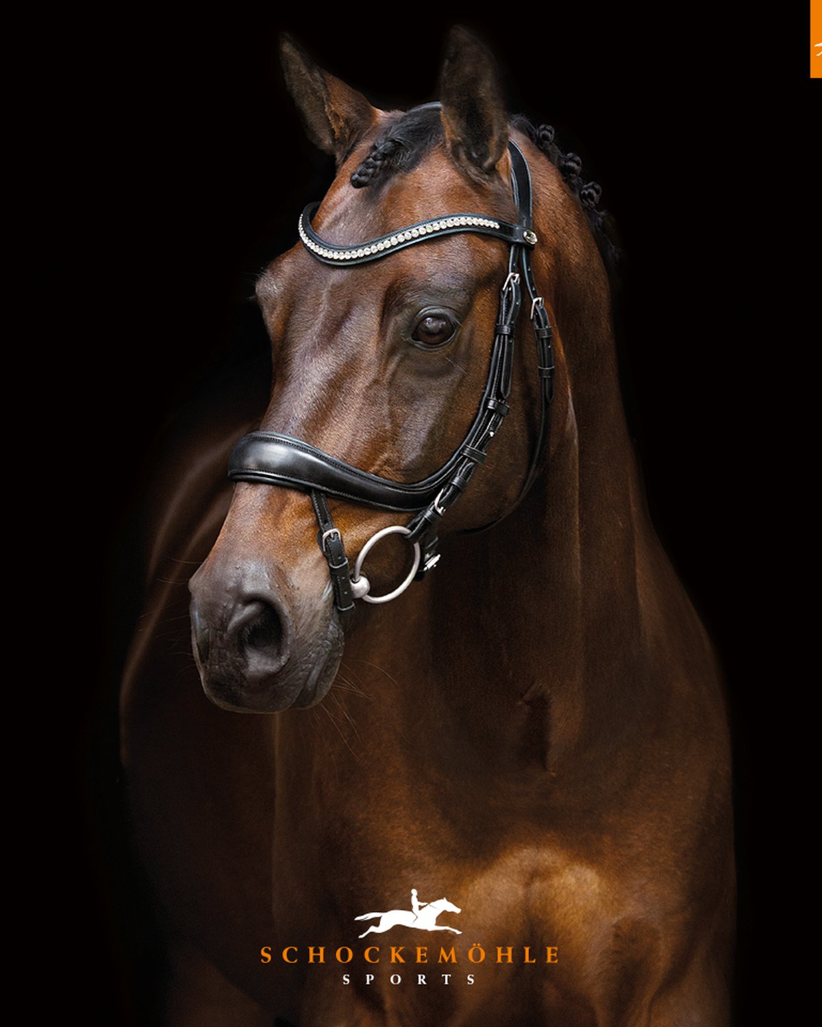 Schockemohle Bridle Equitus Beta black/silver