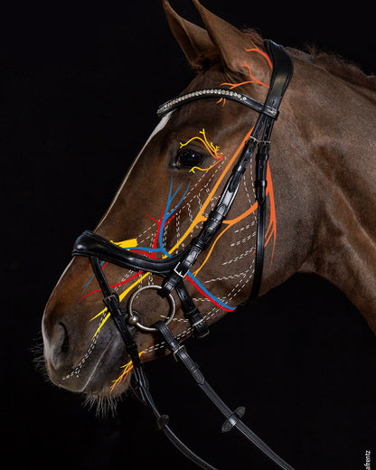 Schockemohle Bridle Equitus Beta black patent/silver