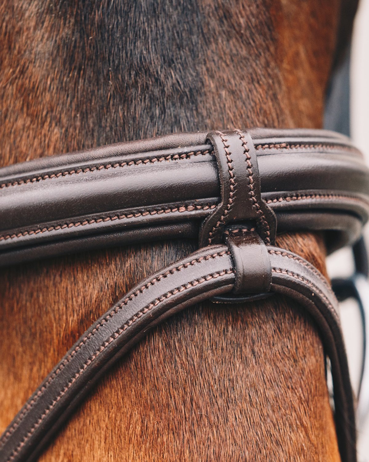 Schockemohle Bridle Tokyo Select espresso/silver