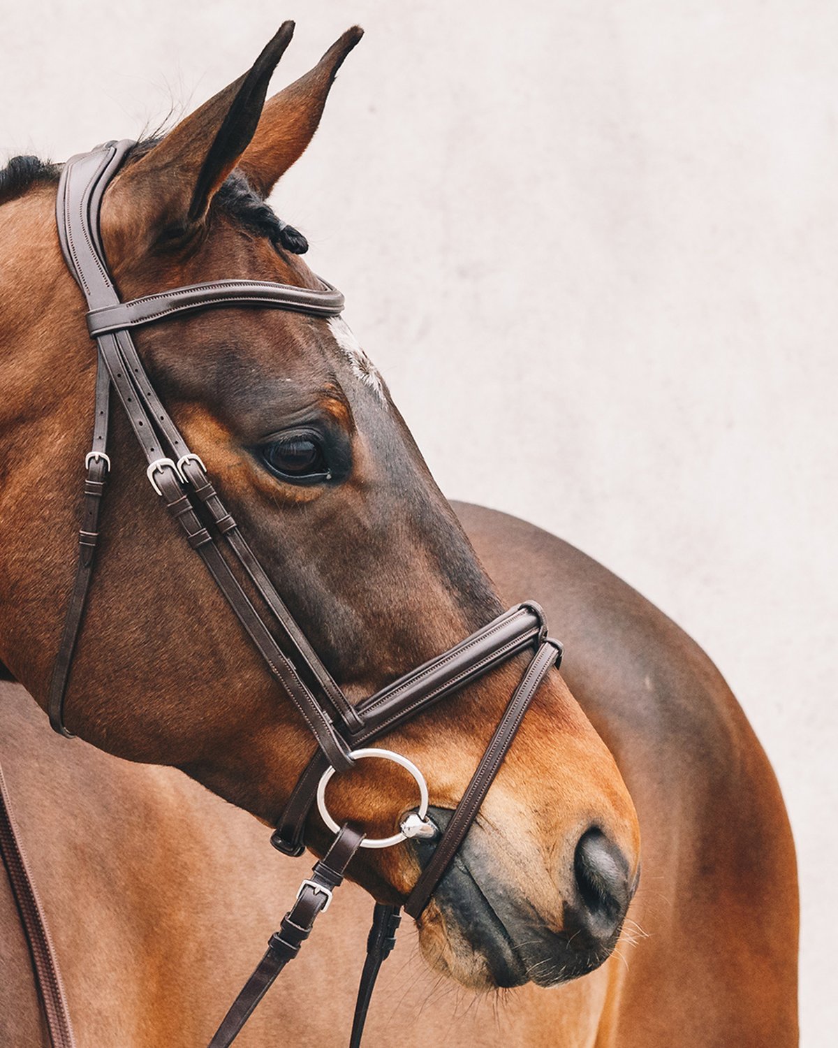 Schockemohle Bridle Tokyo Select espresso/silver