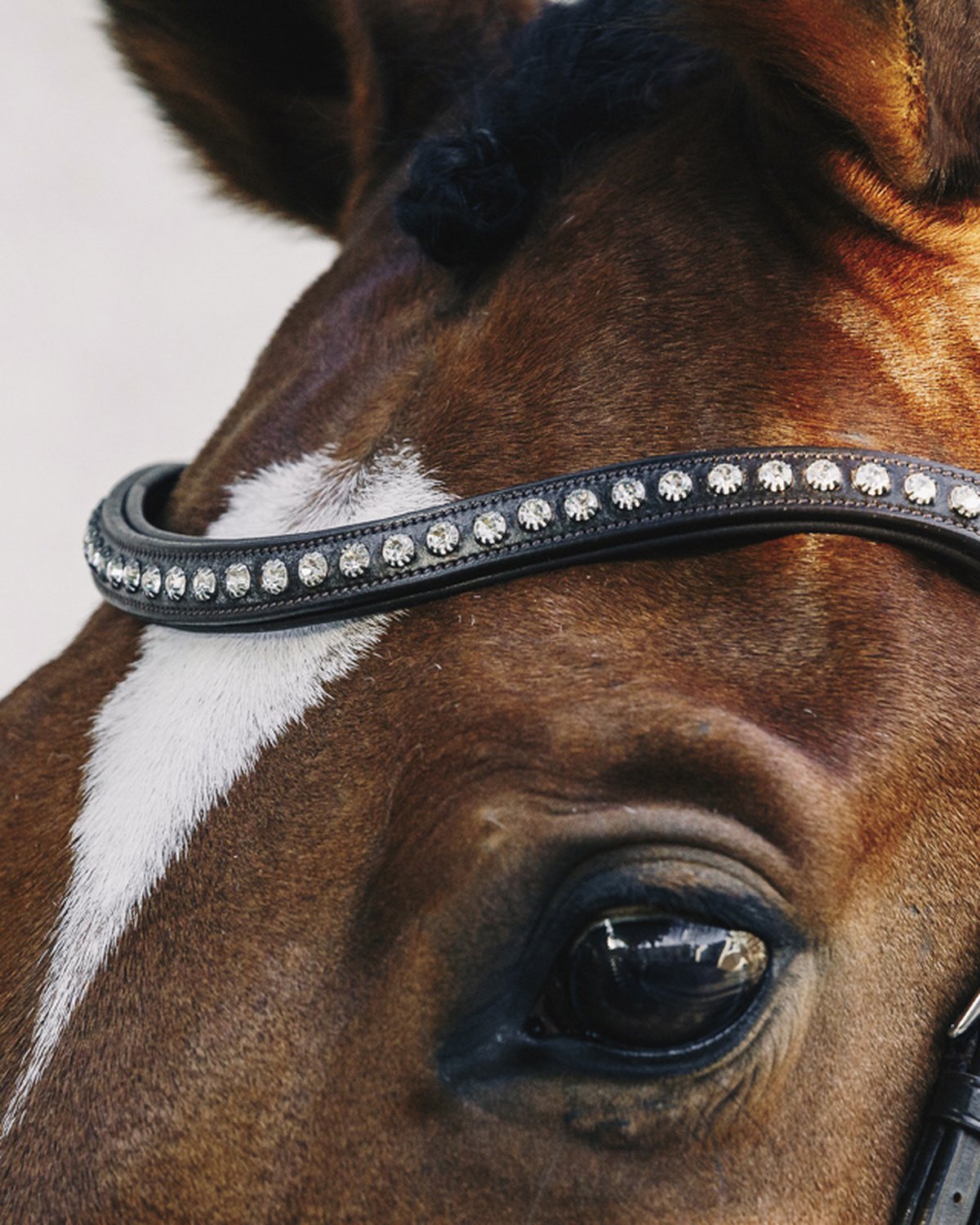 Schockemohle Bridle Rome Select espresso/crystal