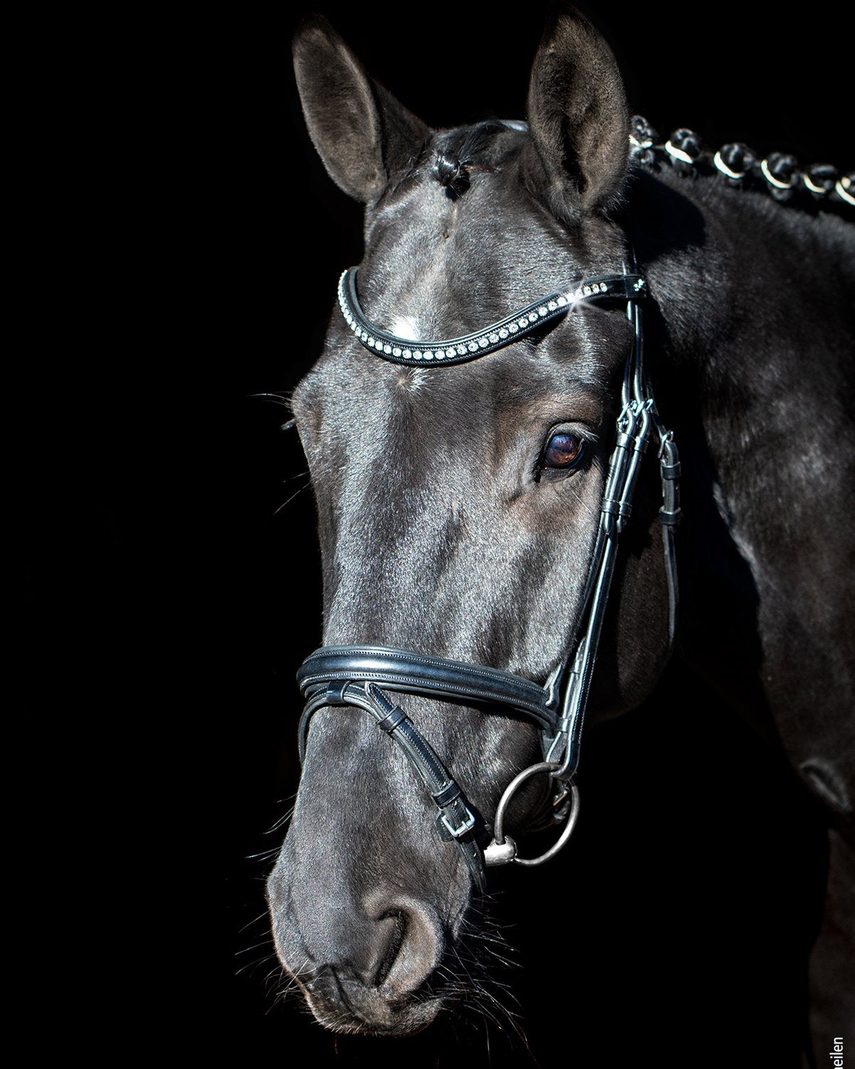 Schockemohle Bridle Rome Select black/crystal