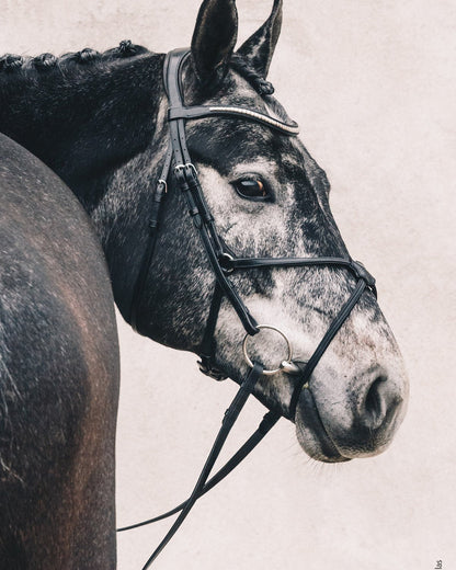 Schockemohle Bridle Rio Select black/silver