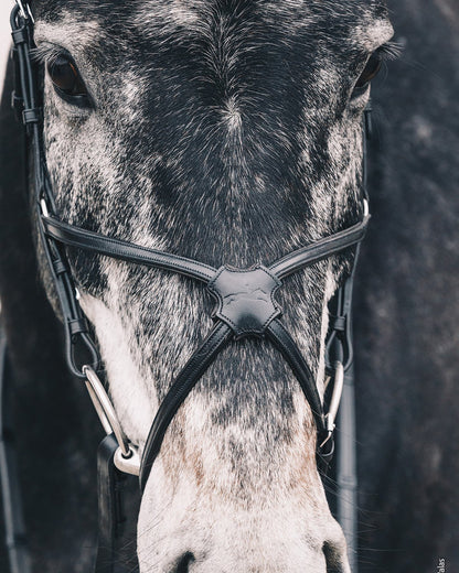 Schockemohle Bridle Rio Select black/silver