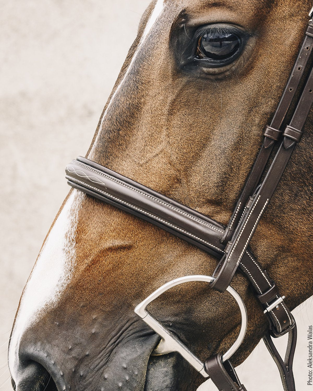 Schockemohle Bridle Montreal Select espresso/cream/silver