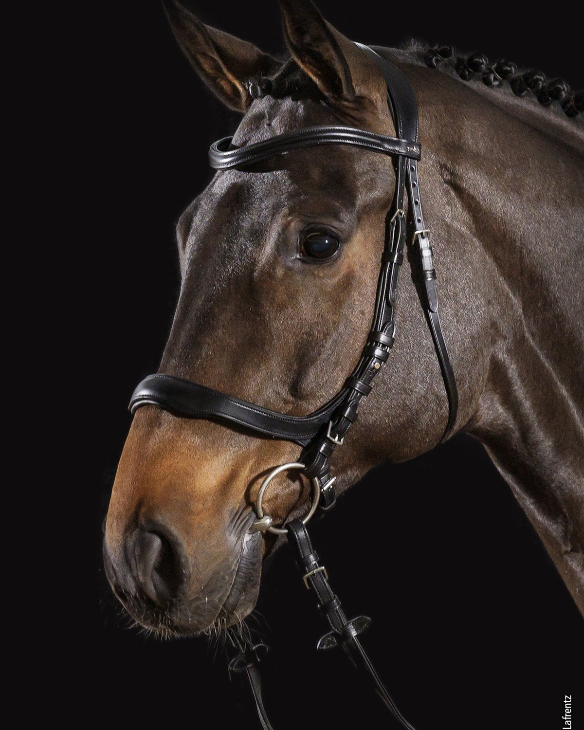 Schockemohle Bridle Equitus Delta black/silver