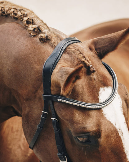 Schockemohle Equitus Omega Anatomic Bridle Black/Silver | Equiflair