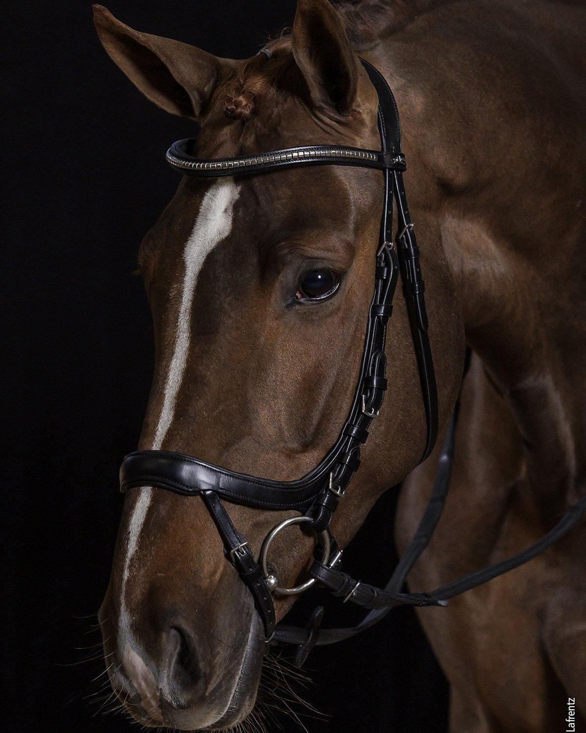 Schockemohle Equitus Omega Anatomic Bridle Black/Silver | Equiflair