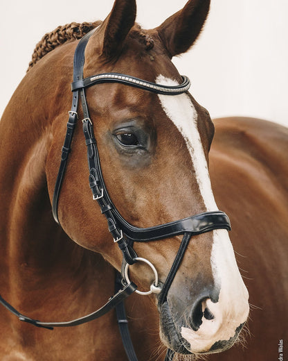 Schockemohle Equitus Omega Anatomic Bridle Black/Silver | Equiflair