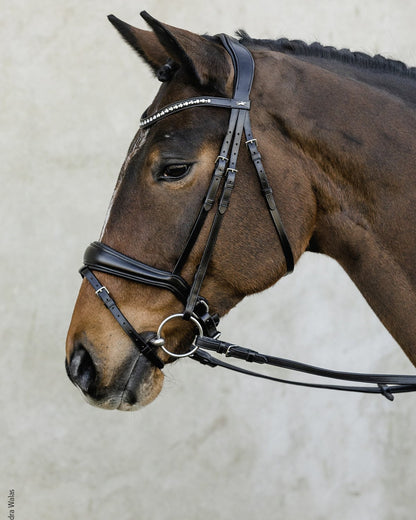 Schockemohle Brantford Dressage Bridle: Anatomical Black Leather Bridle with Crystal Browband for Horses
