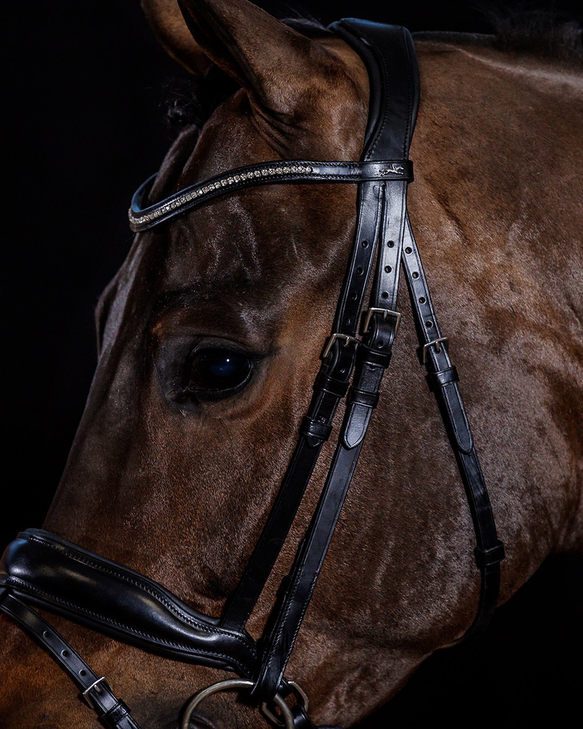Schockemohle Bridle Stanford Wide black/silver