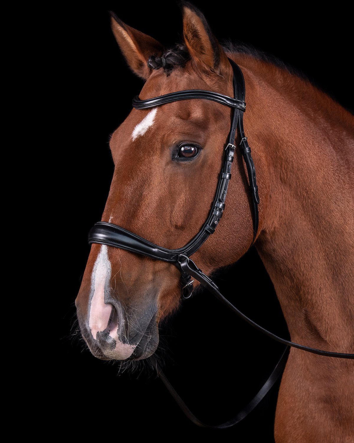 Schockemohle Bridle Equitus Theta black/silver