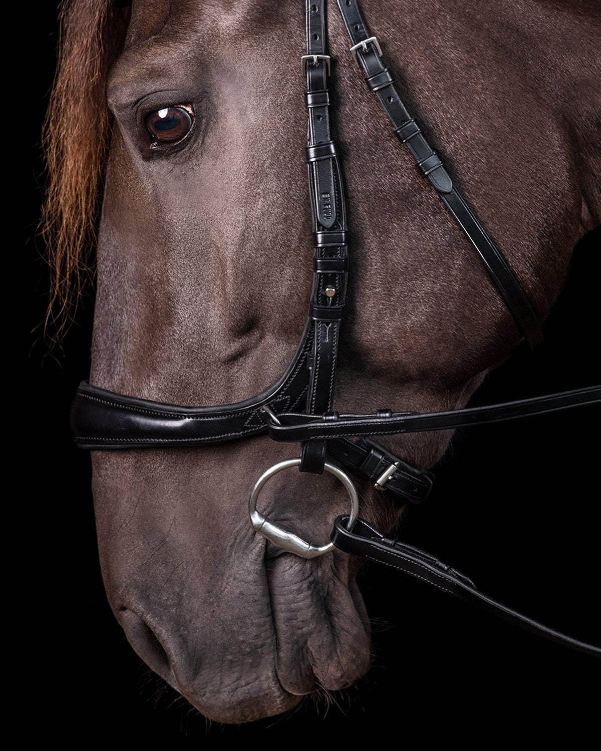 Schockemohle Bridle Equitus Theta black/silver