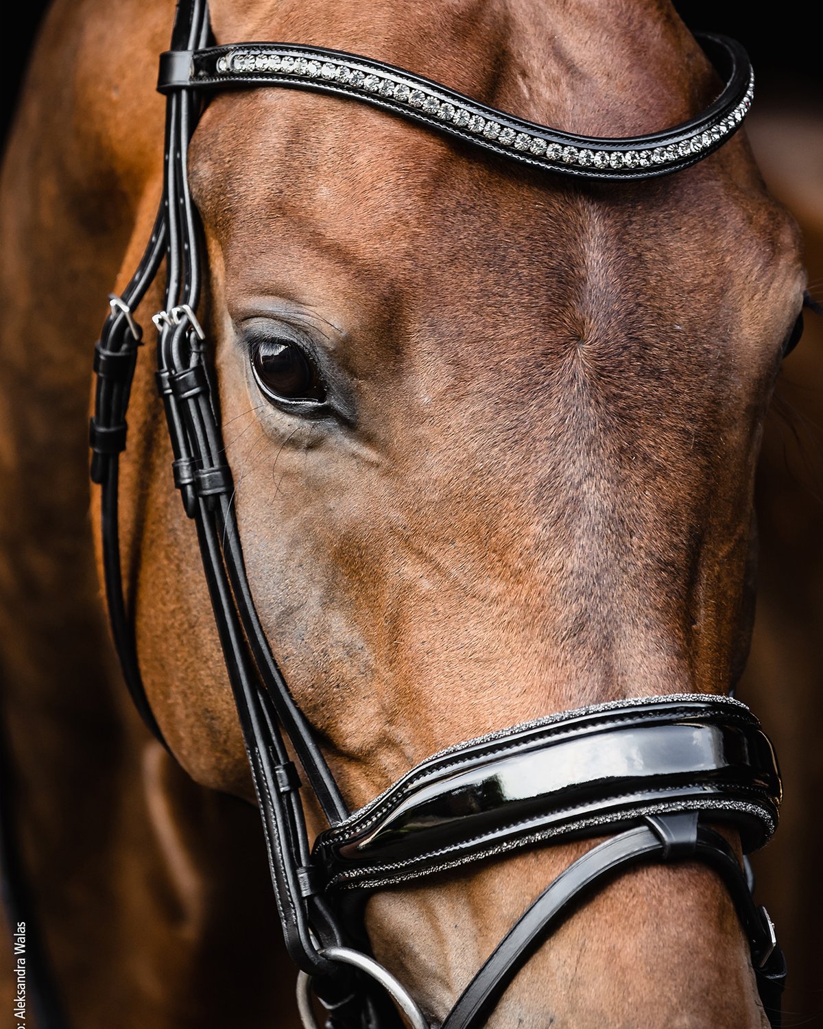 Schockemohle Bridle Stanford Glam black/patent/silver