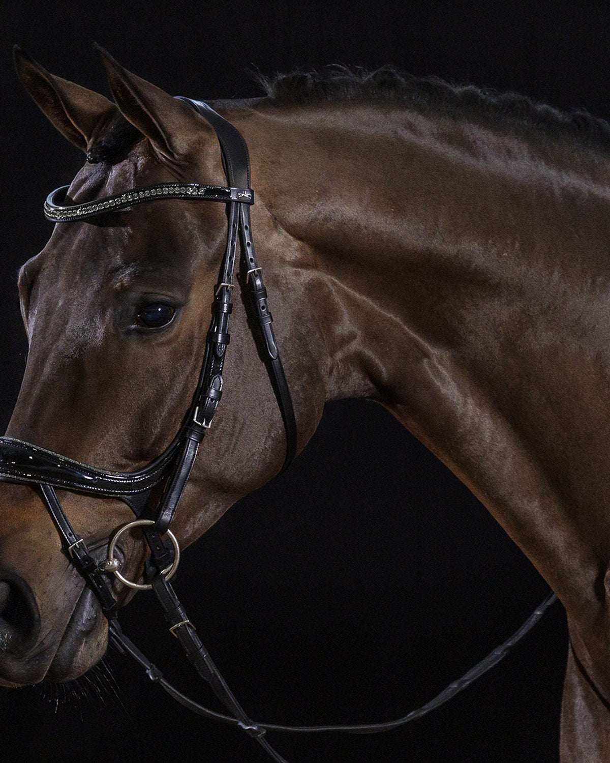 Schockemohle Bridle Equitus Beta Glam black/patent/silver