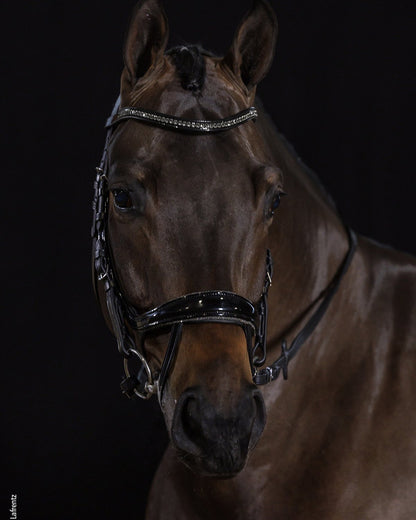 Schockemohle Bridle Equitus Beta Glam black/patent/silver