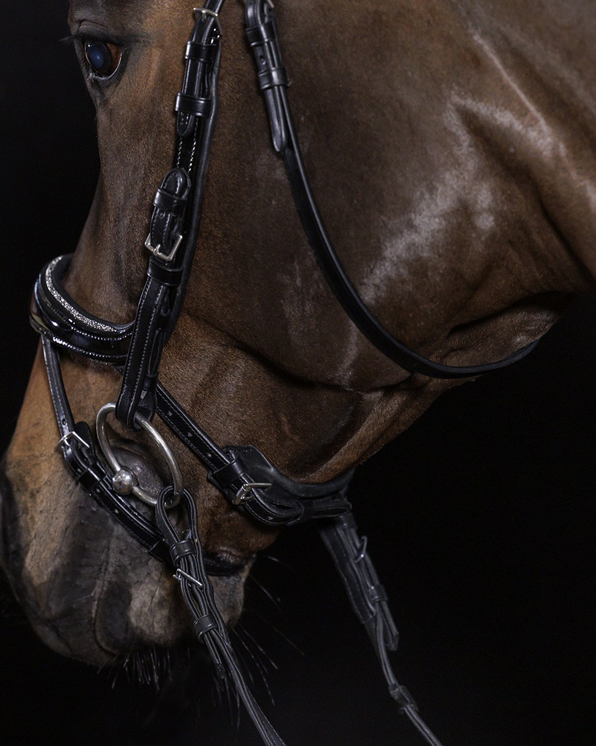 Schockemohle Bridle Equitus Beta Glam black/patent/silver