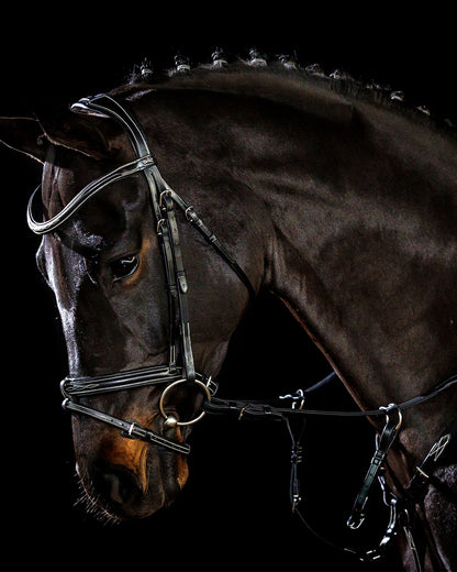 SCHOCKEMOHLE BRIDLE TOKYO F SELECT Black Cream Silver - Anatomical Horse Bridle with Combined Noseband