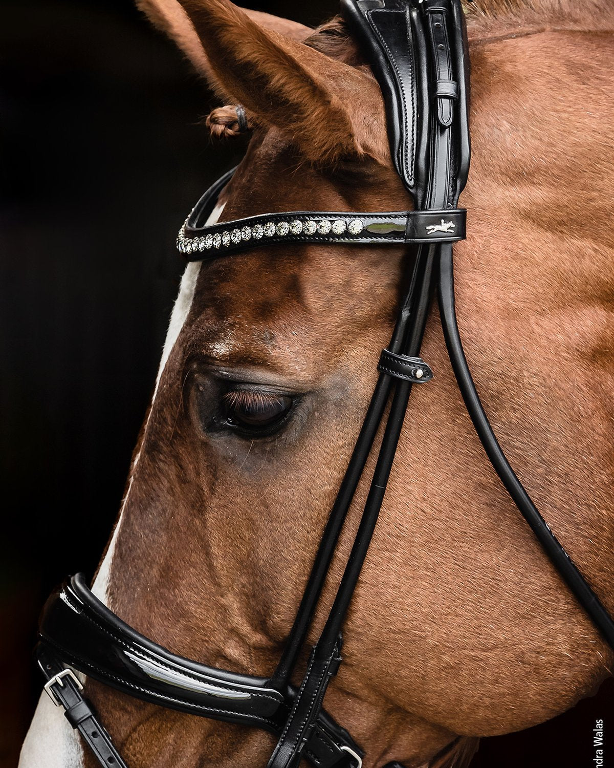 Schockemohle Bridle Westminster black/patent/silver