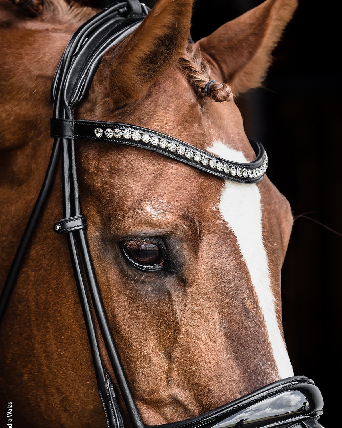 Schockemohle Bridle Westminster black/patent/silver