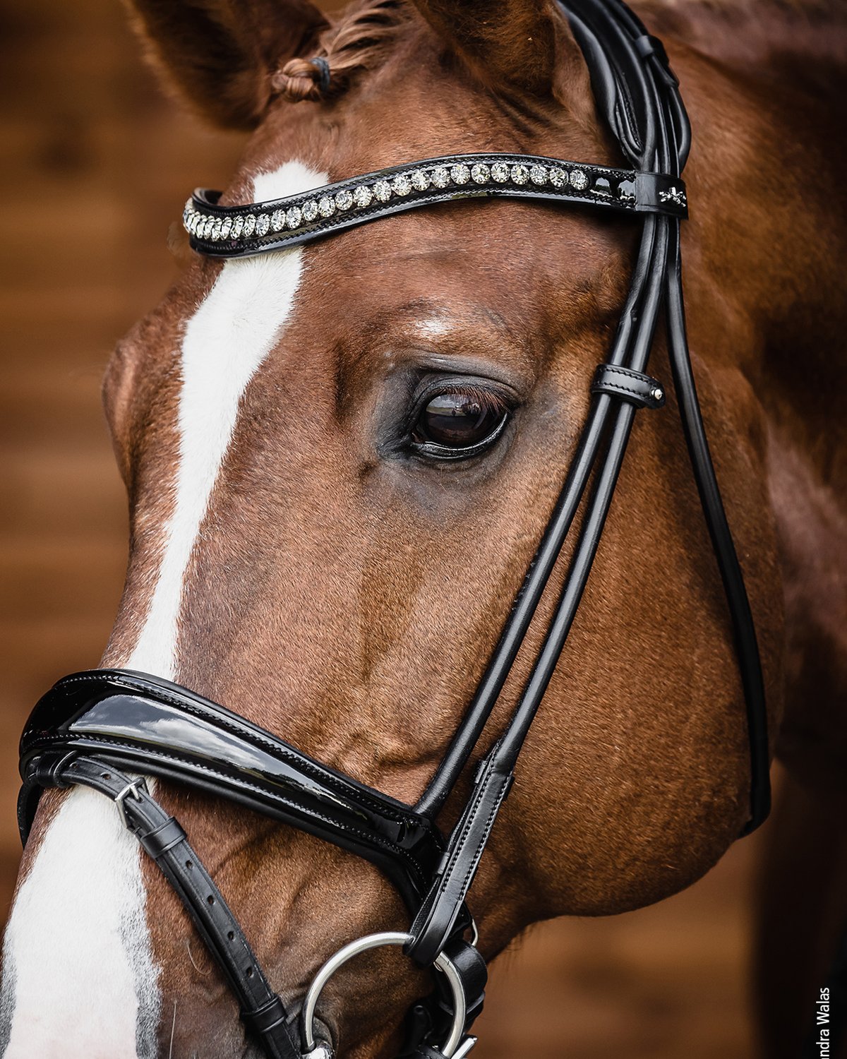 Schockemohle Bridle Westminster black/patent/silver