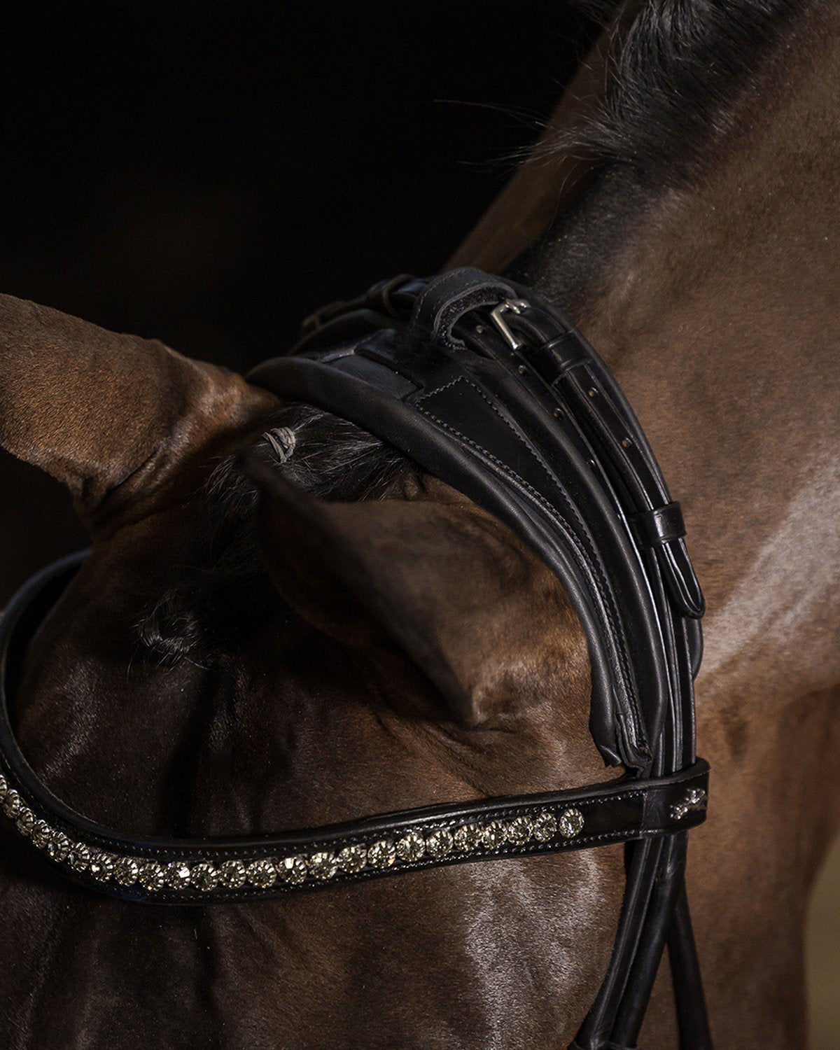 Schockemohle Bridle Westminster black/silver
