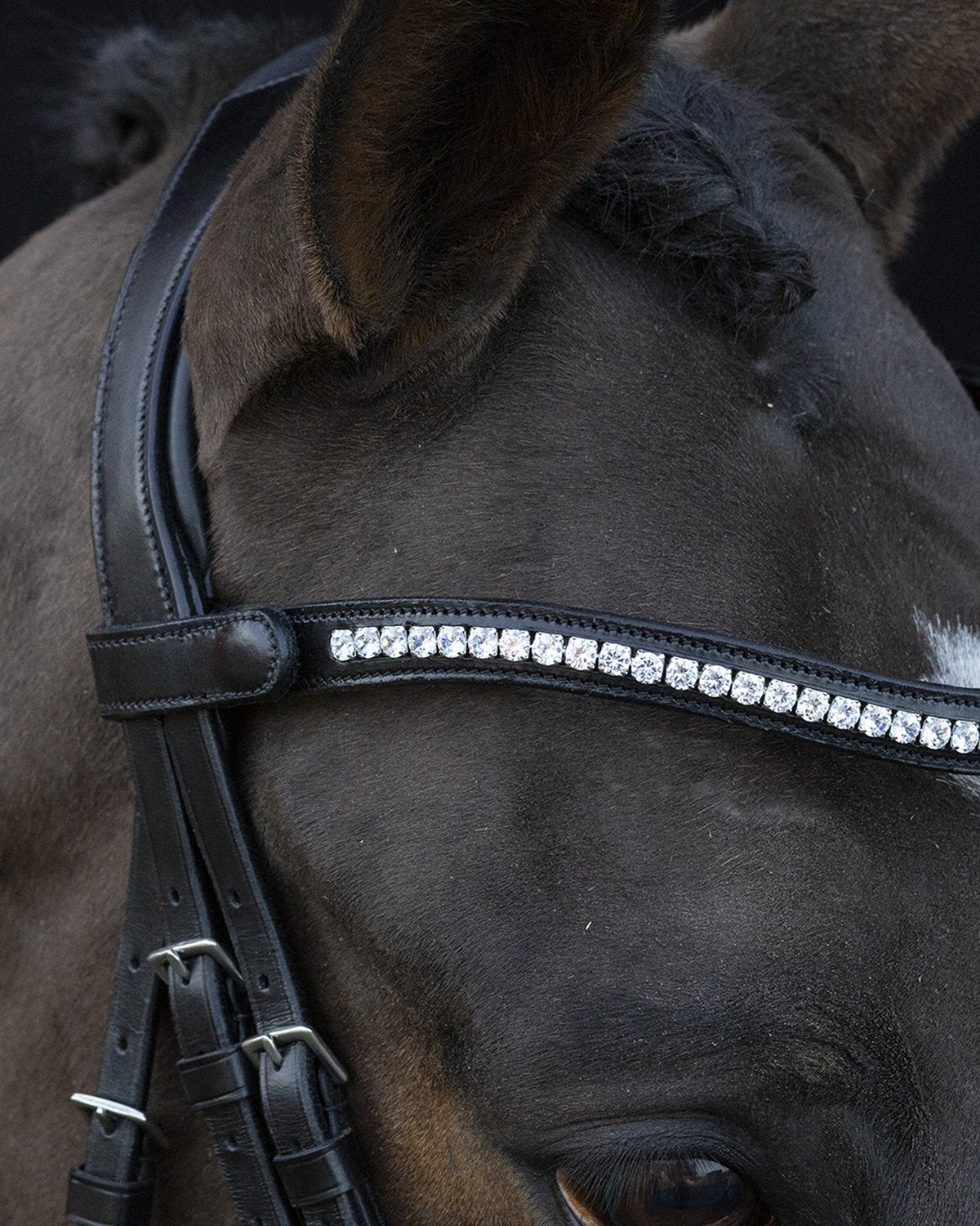 Schockemohle Bridle Charleston black/silver