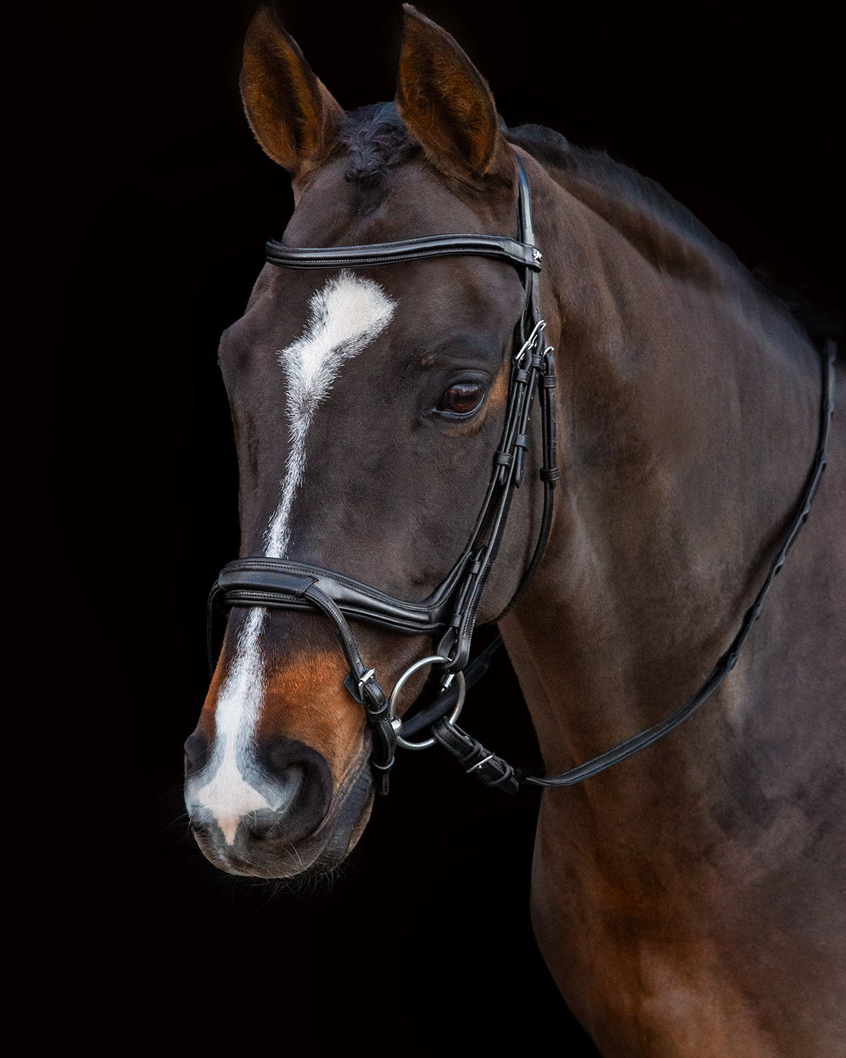 Schockemohle Bridle Ancona Select black/silver