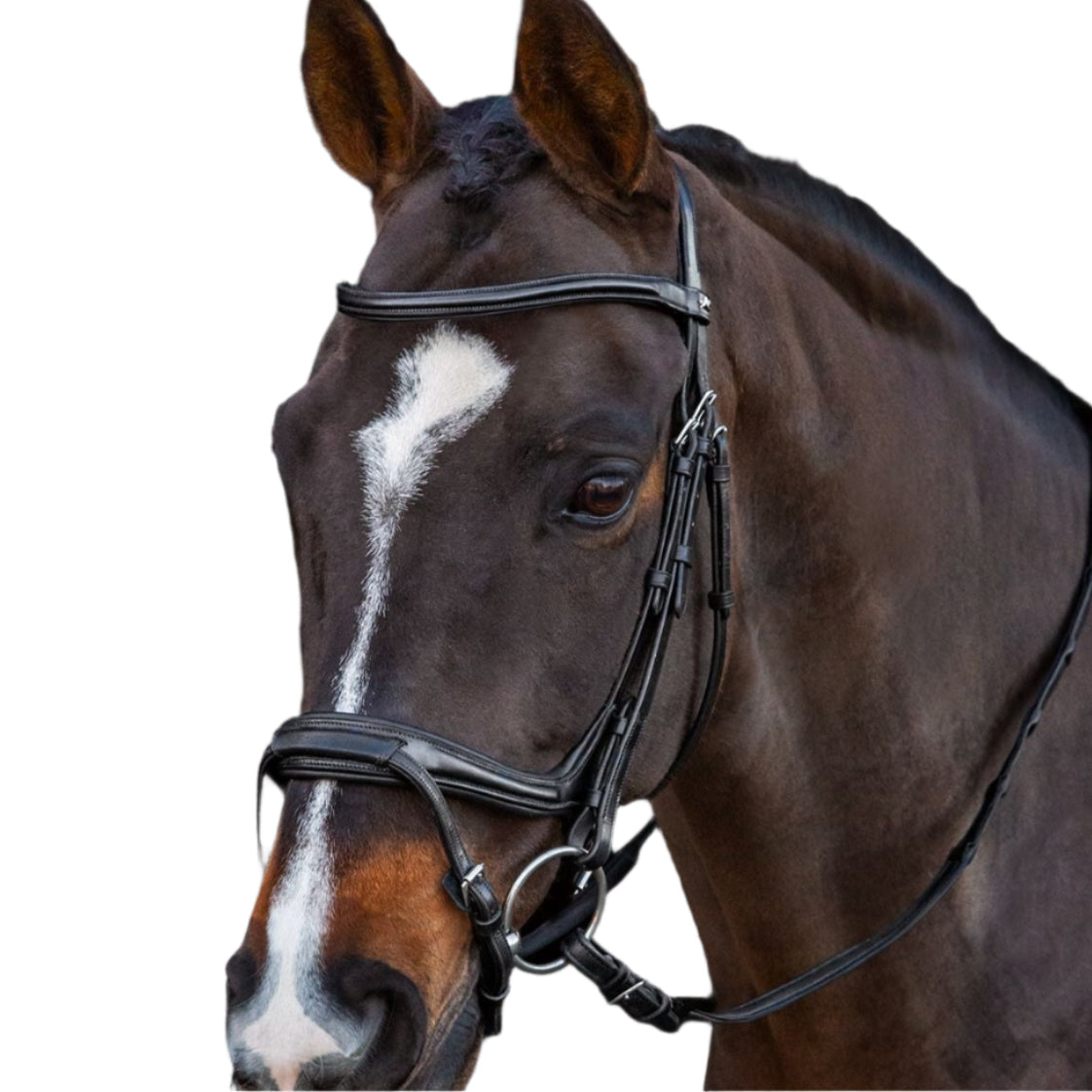 Schockemohle Ancona Select Horse Bridle - Black Leather & Silver Hardware - Anatomical Padded English Bridle