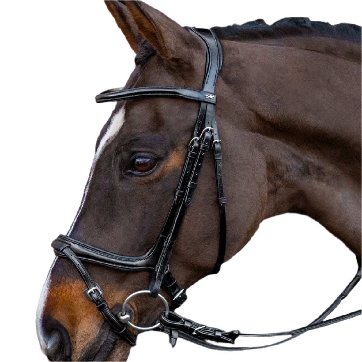 SCHOCKEMOHLE Ancona Select Bridle Black/Silver | Anatomical Horse Bridle Tack | Equiflair