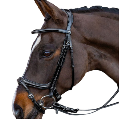 SCHOCKEMOHLE Ancona Select Bridle - Black Leather with Silver Fittings | Anatomical Horse Bridle