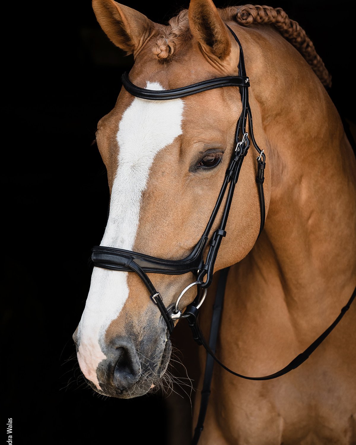 Schockemohle Bridle Ancona Select black/silver