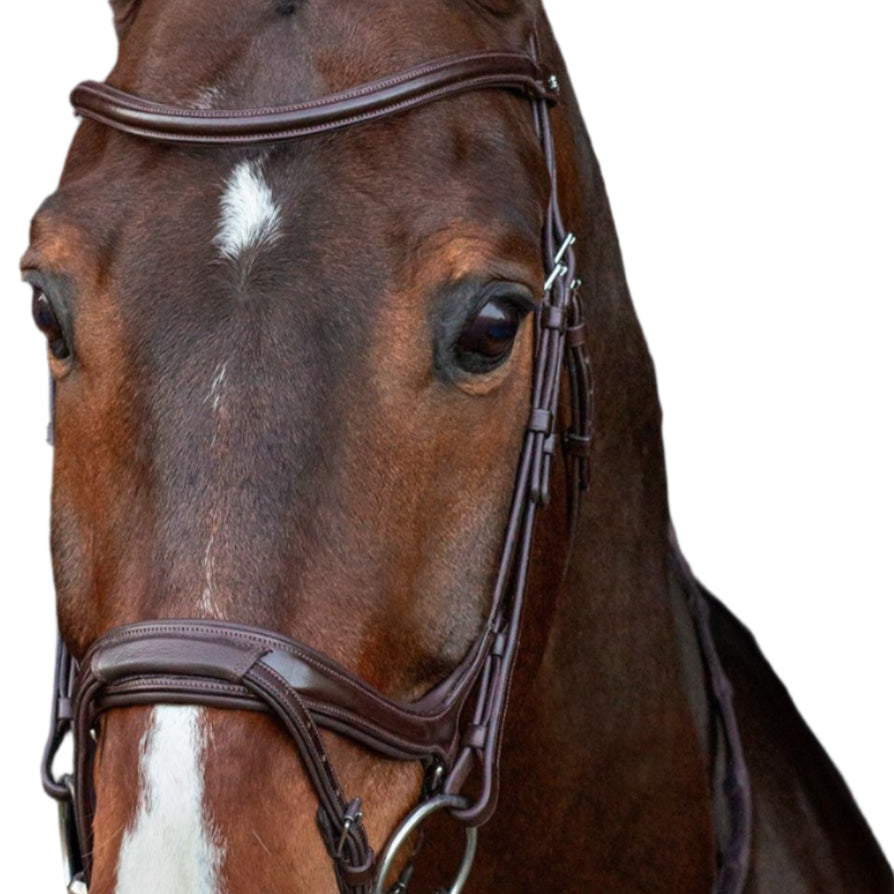 SCHOCKEMOHLE Ancona Select Bridle - Espresso/Silver Horse Bridle. Quality Equestrian Gear by Equiflair.