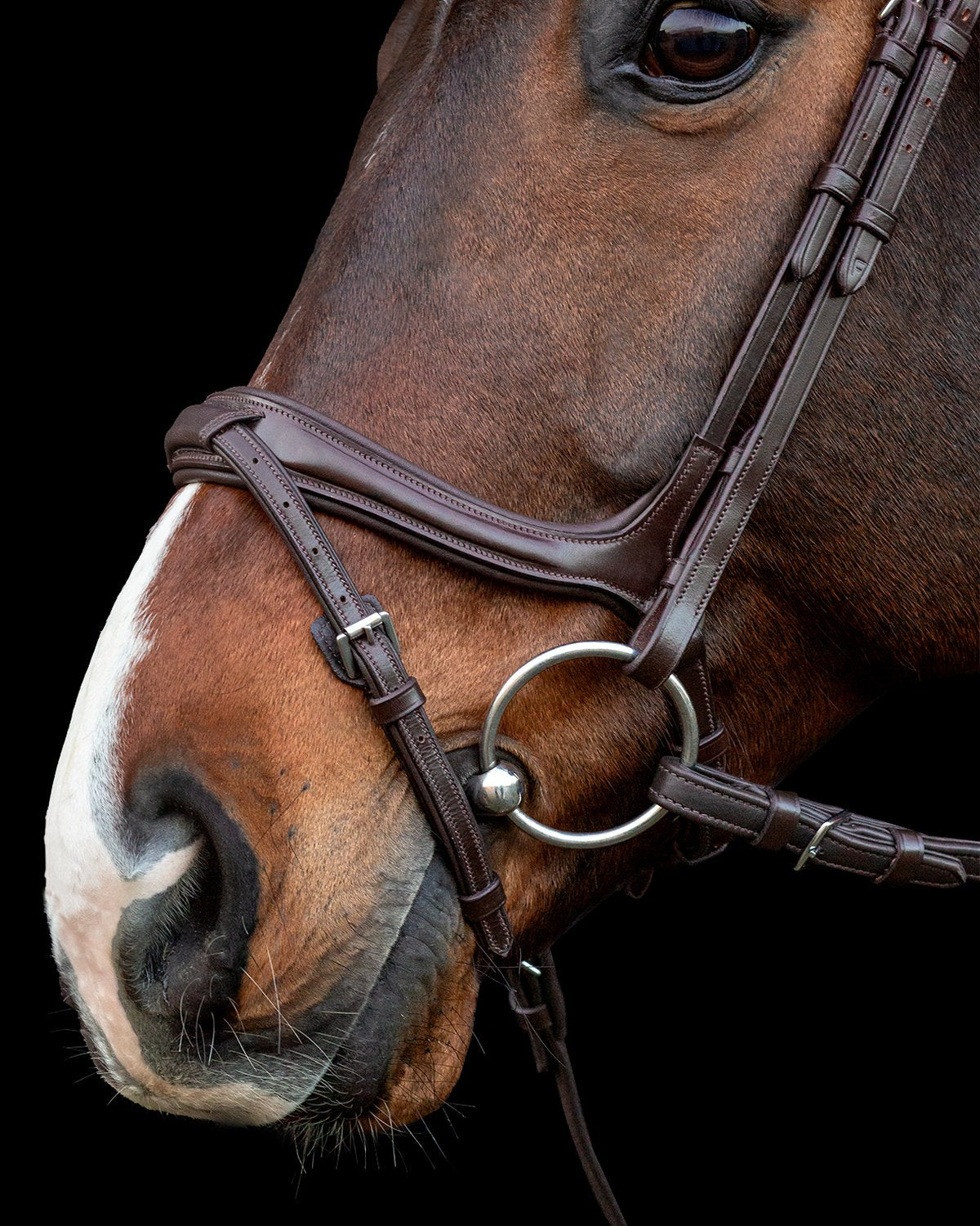 Schockemohle Bridle Ancona Select espresso/silver