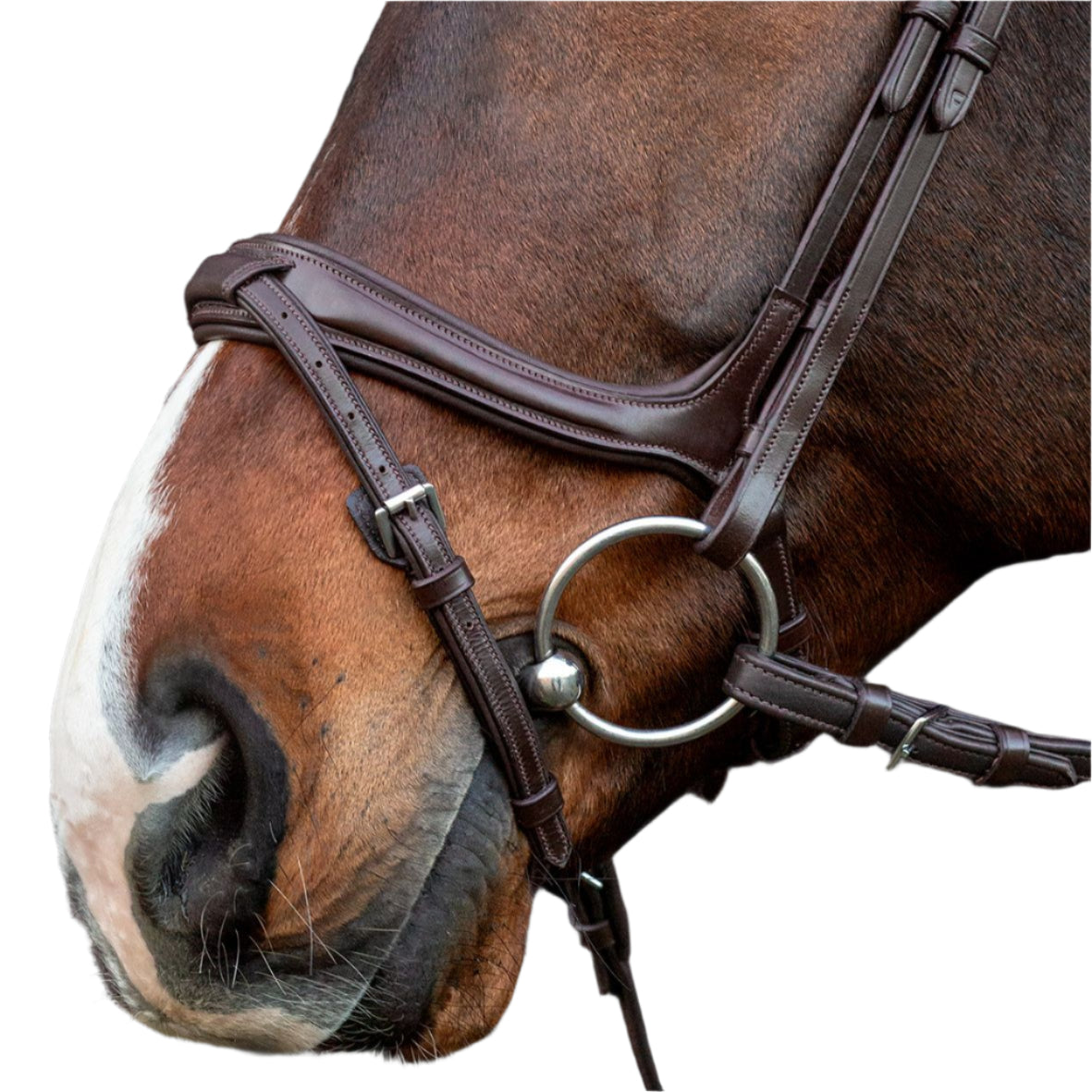 SCHOCKEMOHLE Ancona Select Bridle - Espresso/Silver, English Leather Horse Bridle with Anatomical Noseband