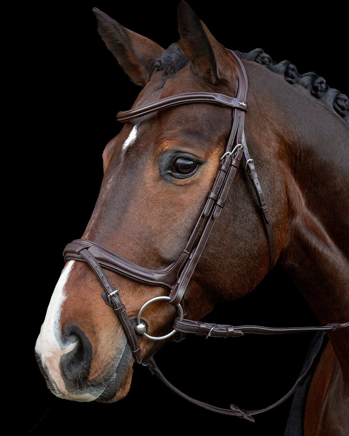 Schockemohle Bridle Ancona Select espresso/silver