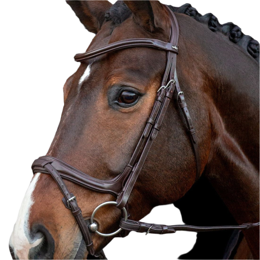 SCHOCKEMOHLE Ancona Select Bridle Espresso/Silver - Horse Riding Tack - Equestrian Equipment