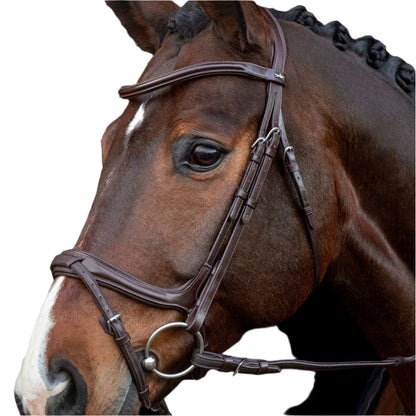 SCHOCKEMOHLE Ancona Select Bridle Espresso/Silver - Horse Riding Tack - Equestrian Equipment