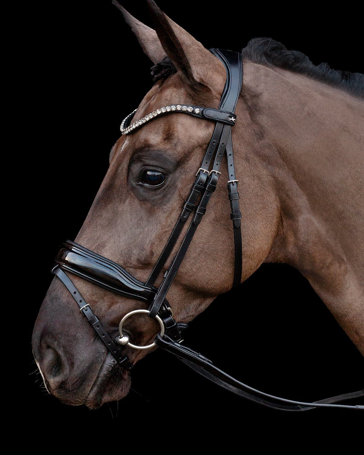 Schockemohle Bridle Siena black/patent/grey