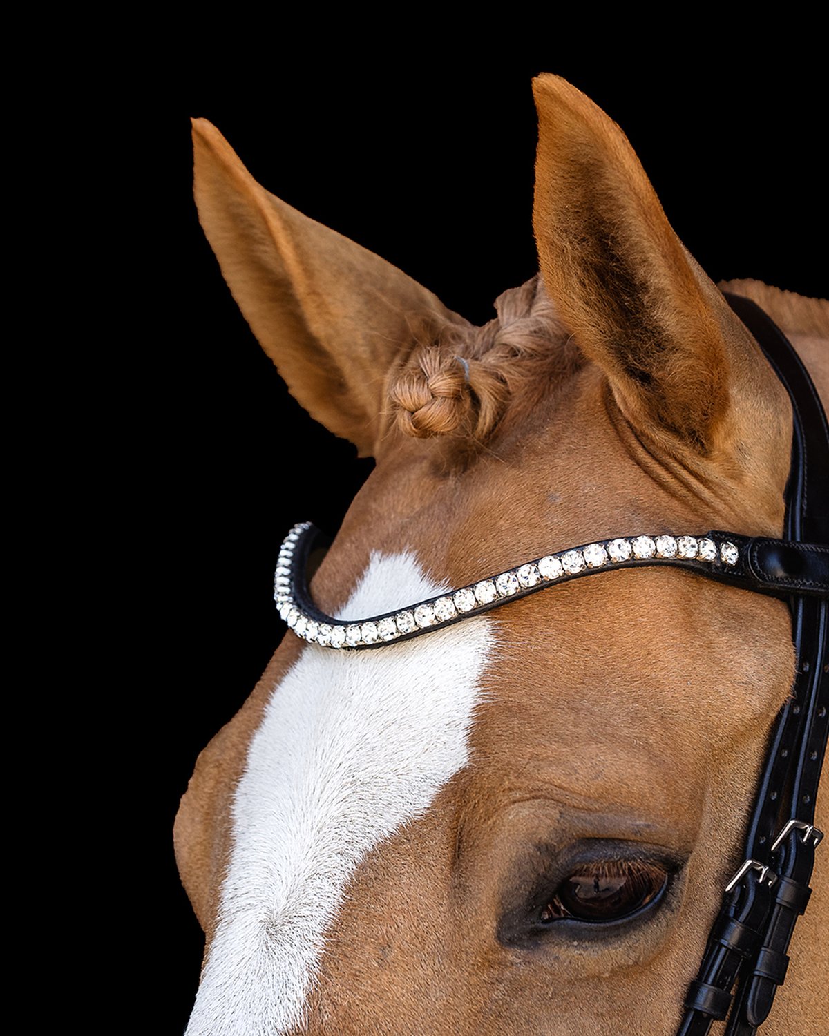Schockemohle Bridle Siena black/silver