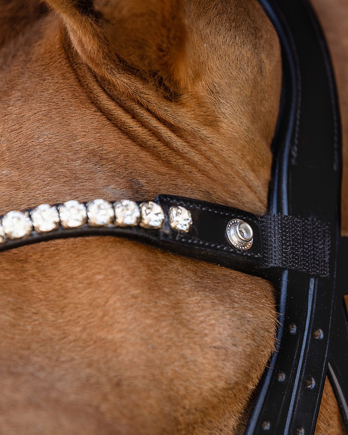 Schockemohle Bridle Siena black/silver