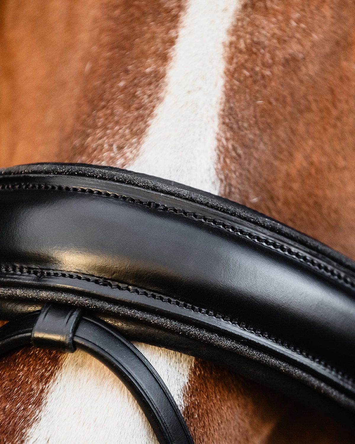 Schockemohle Bridle Valencia black/silver