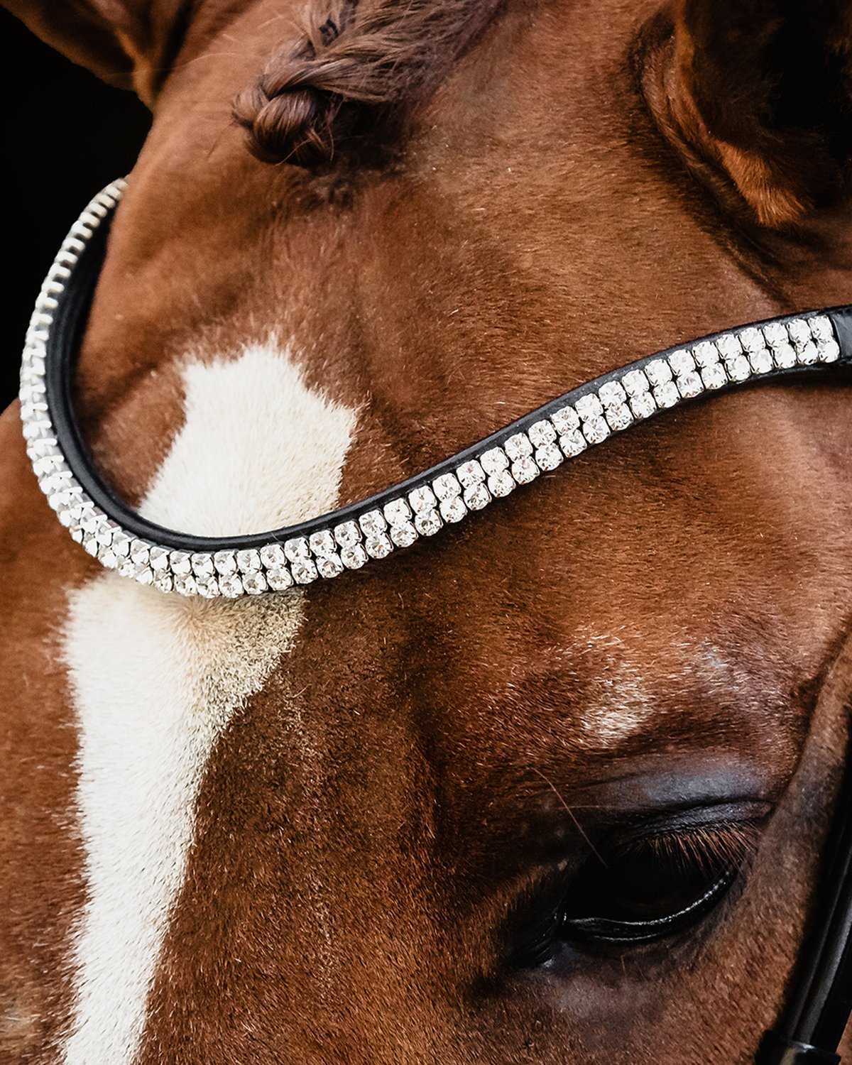 Schockemohle Bridle Valencia black/patent/silver