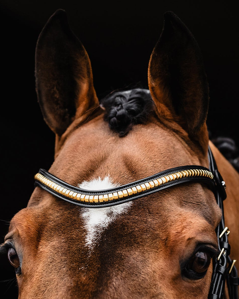 Schockemohle Browband Monza C black/gold