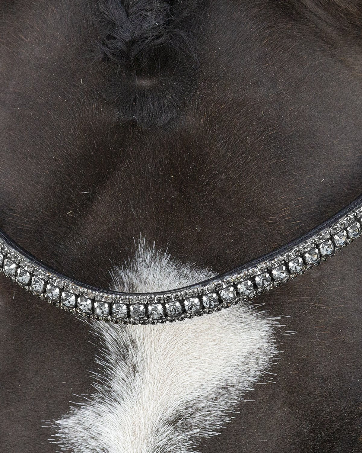 SCHOCKEMOHLE BRINDISI Dressage Double Bridle - Black/Grey/Silver with Glitter Browband. Anatomical Eco-Leather Bridle.
