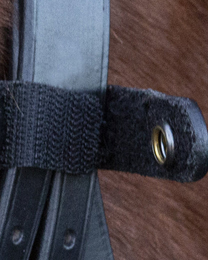 Close-up of Schockemohle Double Bridle Strap Detail on Horse Fur. Equestrian tack, bridle leather, buckle, and horse…