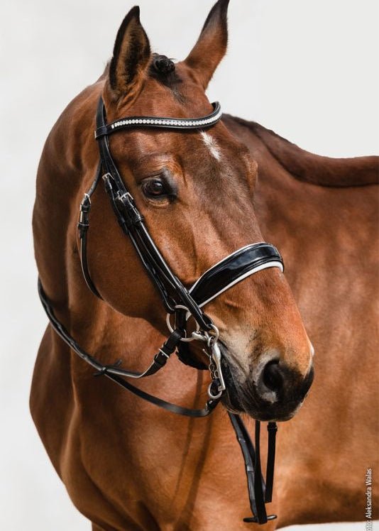 Schockemohle Double Bridle Venice Black/Patent/White/Silver | Equiflair