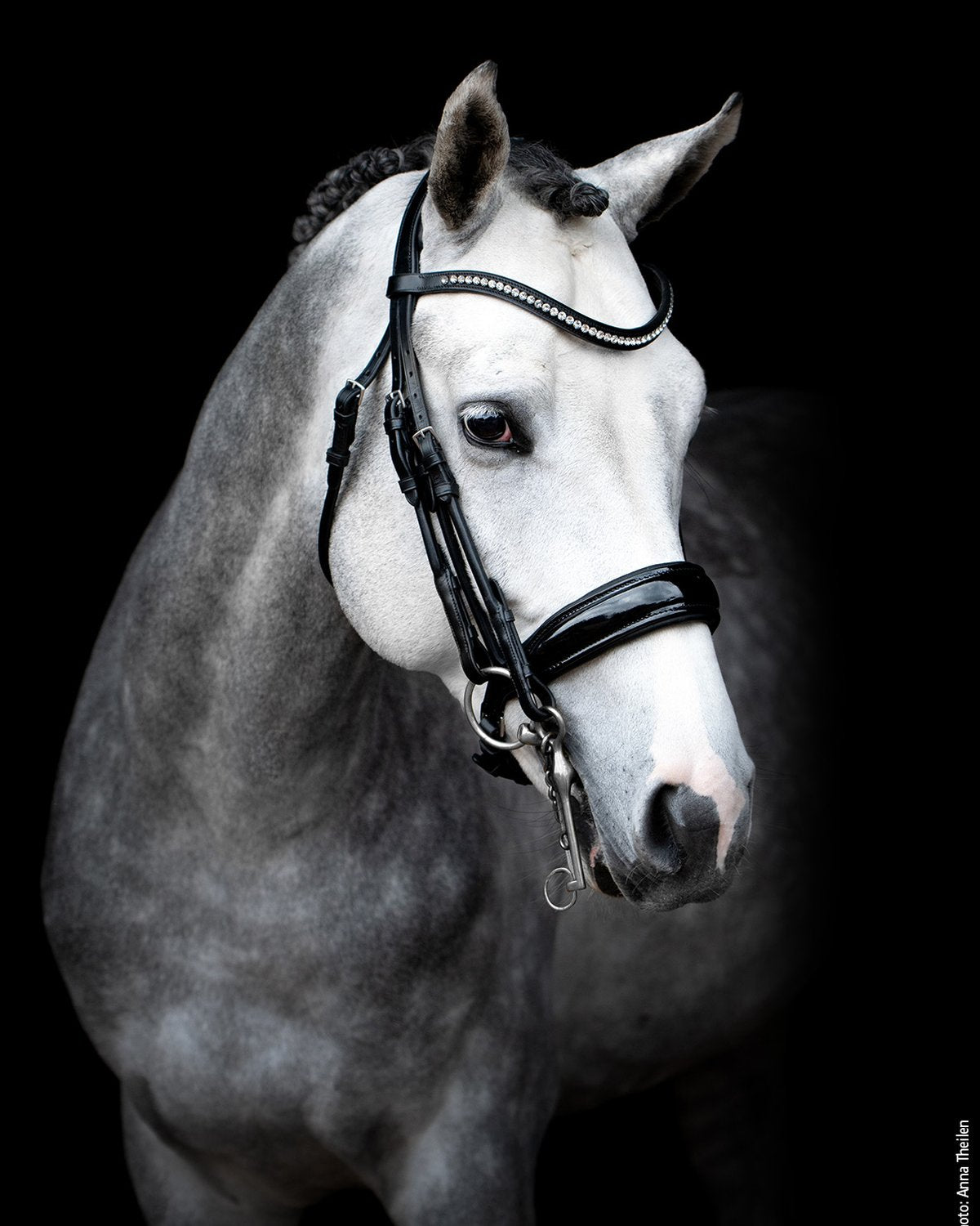 Schockemohle Double Bridle Venice black/patent/silver